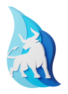 Ecoboostix Digital Marketing 3d logo